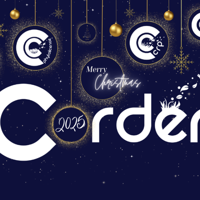 banniere-carte-de-voeux-2024