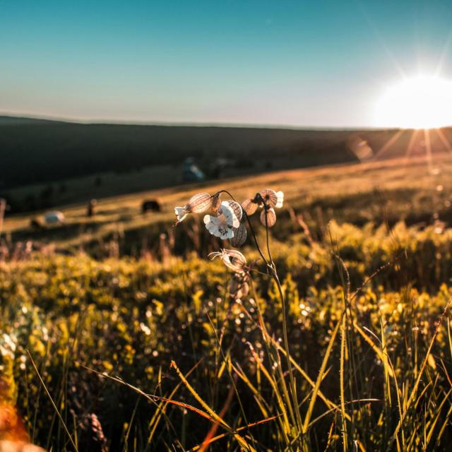 Couverture-article-retour-printemps